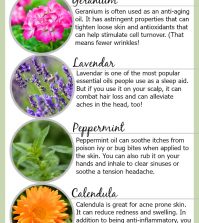 Life-Changing Essential Oil Hacks For Everyday Health Infographic