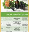 Natural DIY Serum Recipes: No More Putting Chemicals On Your Skin Infographic