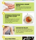 Lemongrass Essential Oil: How You Can Benefit From It Infographic