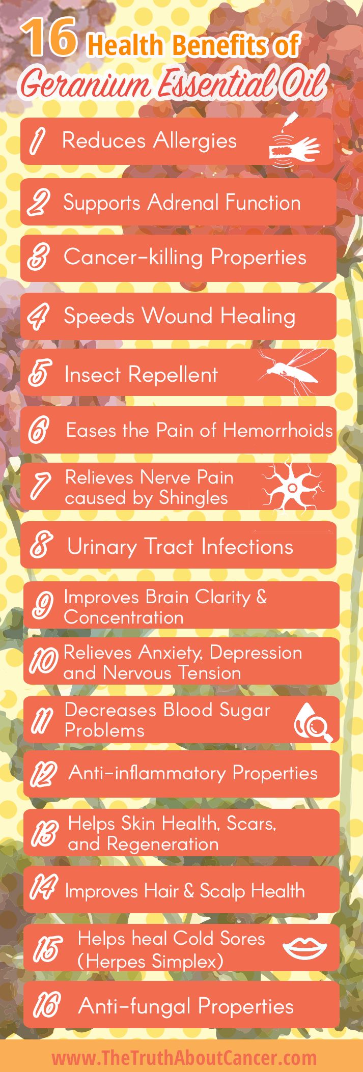 Geranium Essential Oil: 16 Health Benefits And Uses Infographic