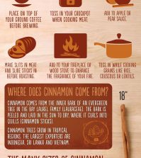 How To Use Cinnamon Sticks In Your Cooking Infographic