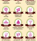 18 Essential Oils That Can Relieve Nerve Pain Naturally Infographic