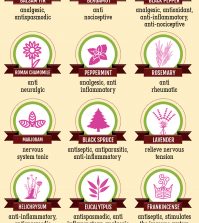 18 Essential Oils That Can Relieve Nerve Pain Naturally Infographic