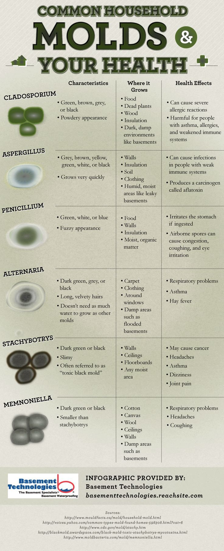 Is Mold In Your House Making You Sick? Infographic - How To Tell If You Have Mold In Your House