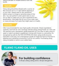 Benefits Of Ylang Ylang Essential Oil For Your Health, Mood And Energy Infogrpahic