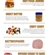 10 Shockingly Disgusting Facts About Fast Food Infographic