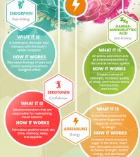 Happiness: What It Is And How It Works Infographic