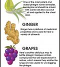 Getting Rid Of Phlegm: The Most Effective Home Remedies Infographic