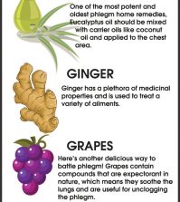 Getting Rid Of Phlegm: The Most Effective Home Remedies Infographic