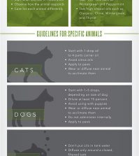 Using Essential Oils Around Animals: What You Need To Know Infographic