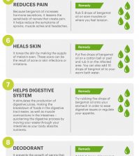 Using Bergamot Essential Oil For Your Health Infographic