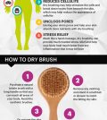 How And Why To Dry Brush Your Body Infographic