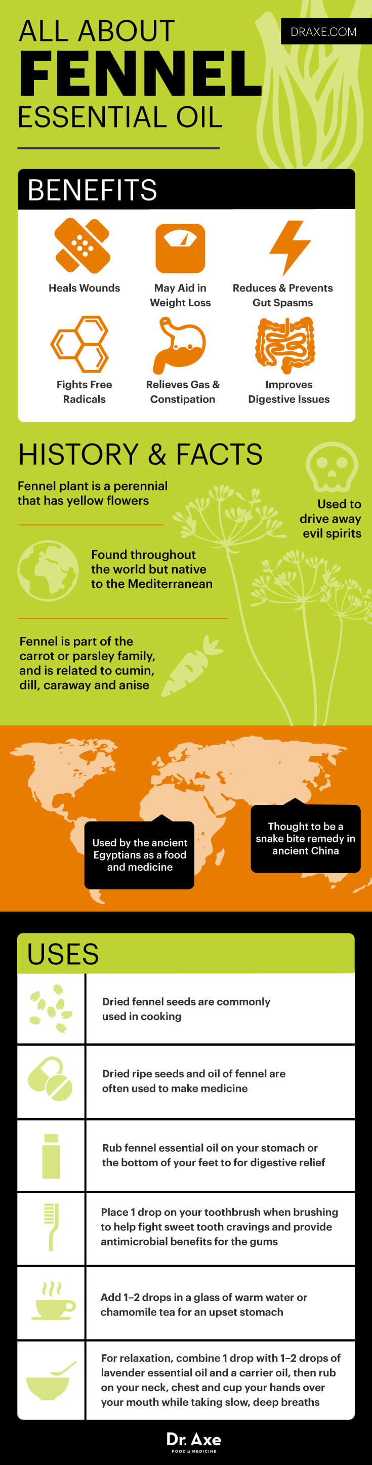Fennel Essential Oil: What You Need To Know About Its Qualities Infographic