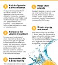 Unbelievable Benefits Of Drinking Lemon Water Explained Infographic