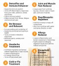 Palo Santo Essential Oil Health Benefits And Best Uses Infographic