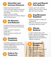 Palo Santo Essential Oil Health Benefits And Best Uses Infographic