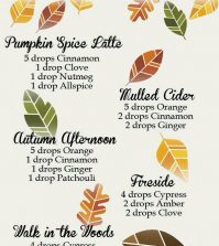 Warm And Cozy Essential Oil Blends For Autumn Infographic