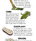 Grilled Vegetables: Which Ones Are The Best And How To Cook Them Infographic