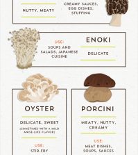 Know Your Mushrooms & How To Cook Them Infographic