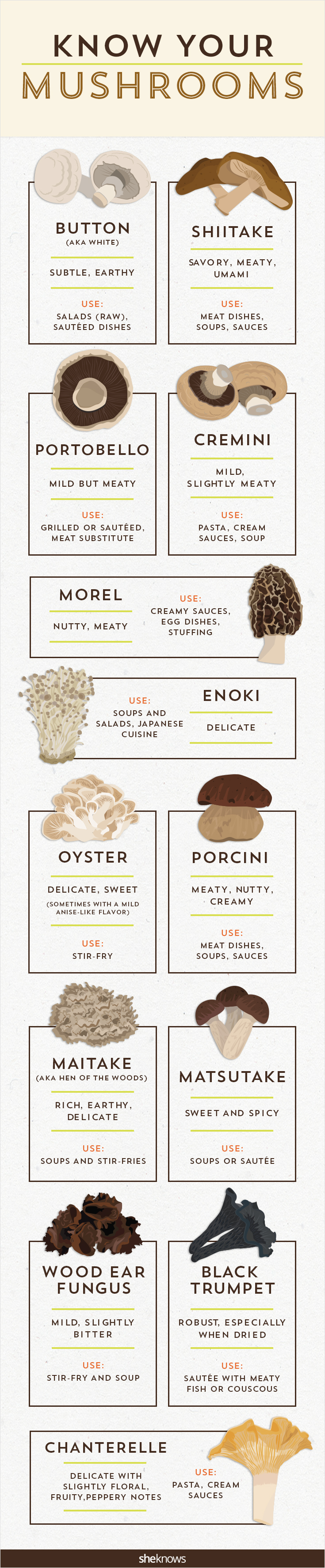 Know Your Mushrooms & How To Cook Them Infographic