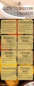 8 Best Herbs To Use For Digestive Health Infographic