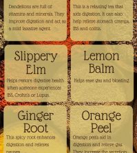 8 Best Herbs To Use For Digestive Health Infographic