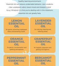 Best Essential Oils For School Infographic