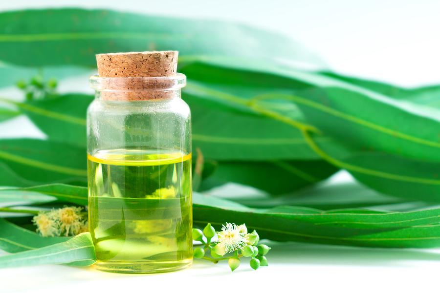 What Is Doterra Eucalyptus Oil Used For