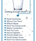 Water: The Miracle Drink We Often Overlook Infographic