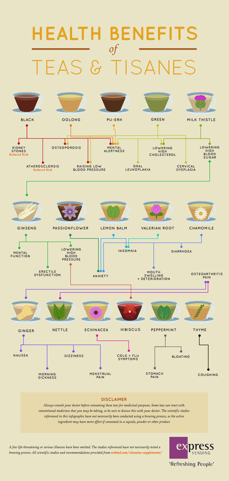 Health Benefits Of All Teas And Tisanes In One Place Infographic