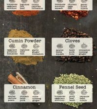 Spice This Season Up With The Food And Spice Pairing Guide Infographic