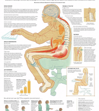 Don’t Just Sit There! (The Frightening Side Effects Of Sedentary Lifestyle) Infographic