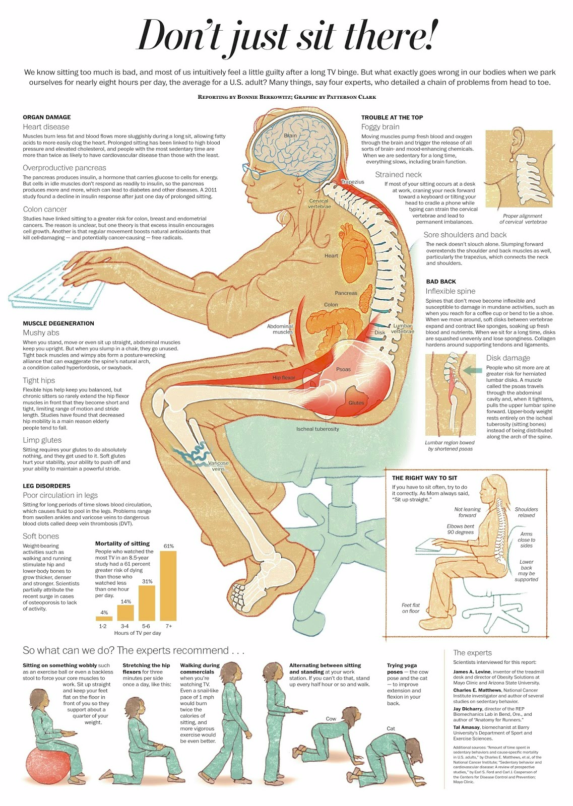 Don’t Just Sit There! (The Frightening Side Effects Of Sedentary Lifestyle) Infographic