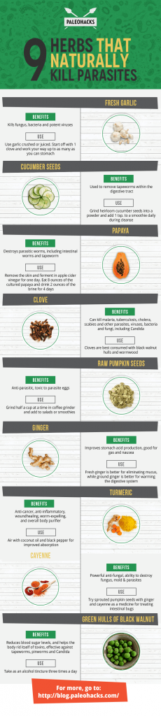 kill-parasites-naturally-with-these-herbs-and-spices-infographic