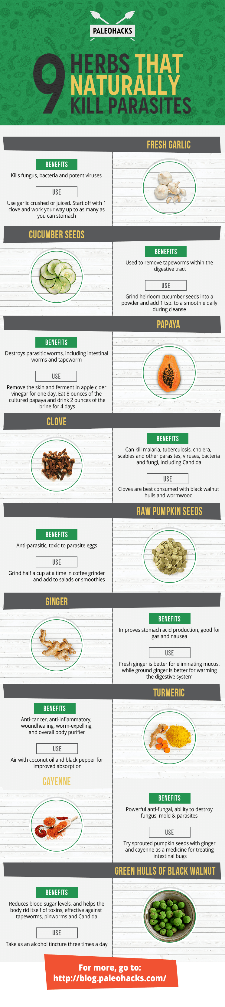 Kill Parasites Naturally With These Herbs And Spices Infographic