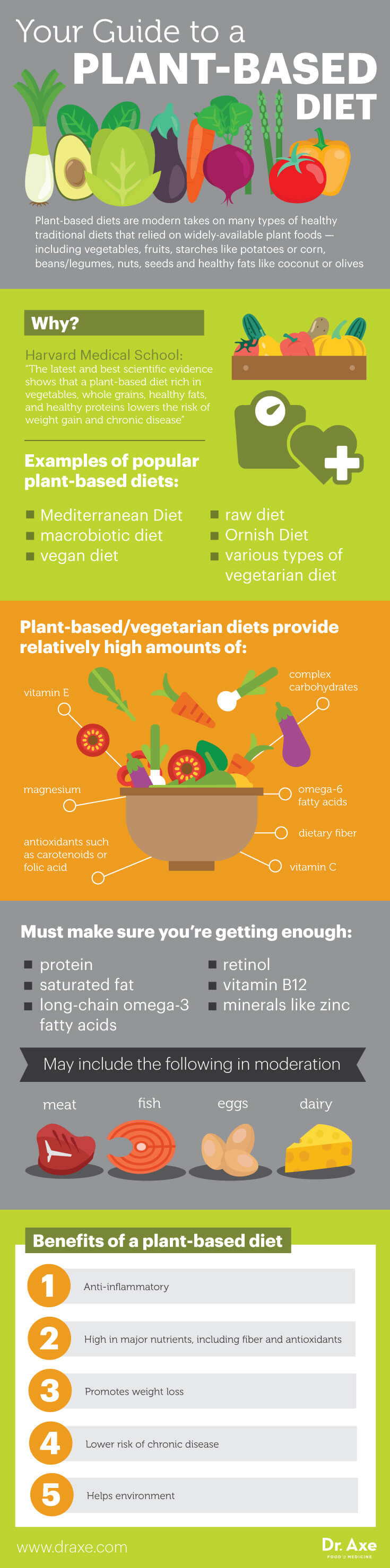 The How And Why Of A Plant Based Diet Infographic 7324