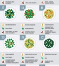 50 Healthy Salad Recipes For Every Season Infographic