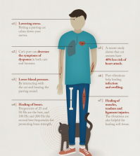 Learn How Cat Purrs Can Heal You Infographic