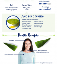 Aloe Vera: Everything You Need To Know About It Infographic