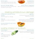 Natural Ingredients Only: Comprehensive Face Care Tips Infographic