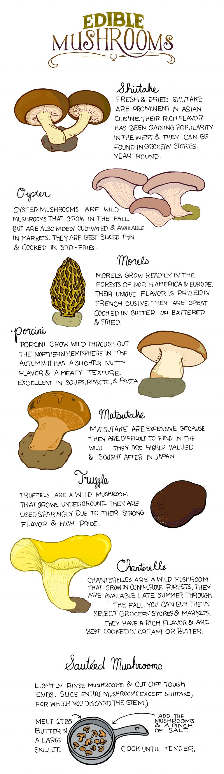 Your Guide To Identifying And Cooking Edible Mushrooms Infographic 4880