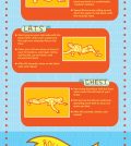 How To Use Foam Roller In Your Fitness Routine Infographic