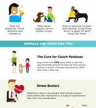 Owning A Pet Makes You Happier And Healthier: Here Is Why Infographic