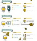 The Best DIY Honey Recipes For All Beauty Needs Infographic