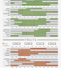 Bountiful Year: What To Eat, When To Eat It Infographic