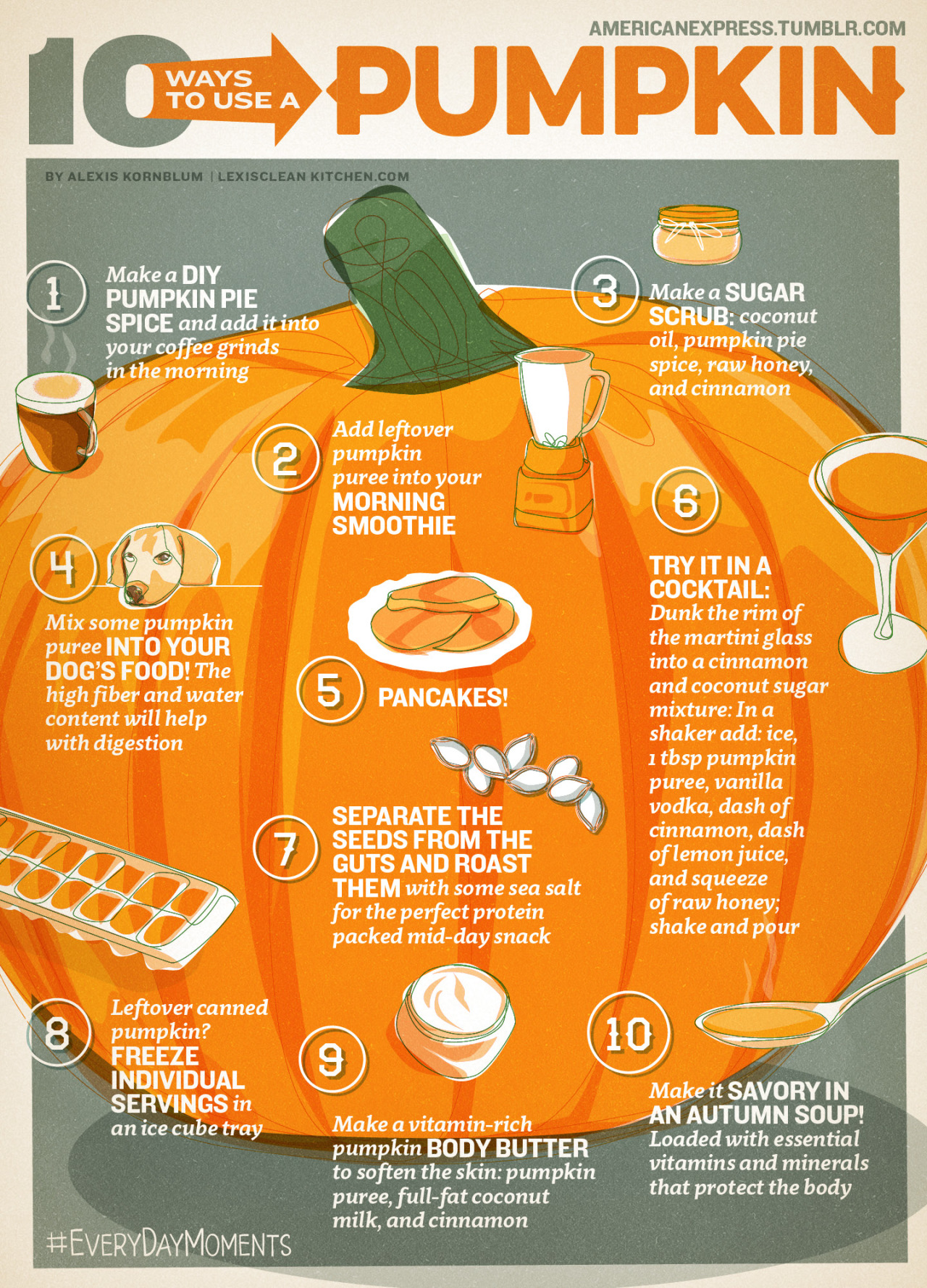 10 Great Ways To Use A Pumpkin You May Not Be Aware Of Infographic