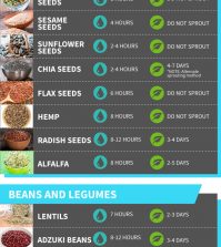 Optimal Soaking And Sprouting Times For All Your Favorite Nuts, Seeds, Legumes, And Grains Infographic