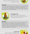 Best Essential Oils For Treating Allergies Infographic