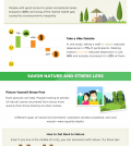 Nature And Your Mood: Is These A Connection? Infographic