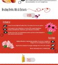 The Best Natural Antibiotics For Drug-Free Healing Infographic